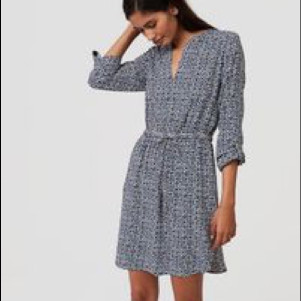 Cinched Waist Shirtdress